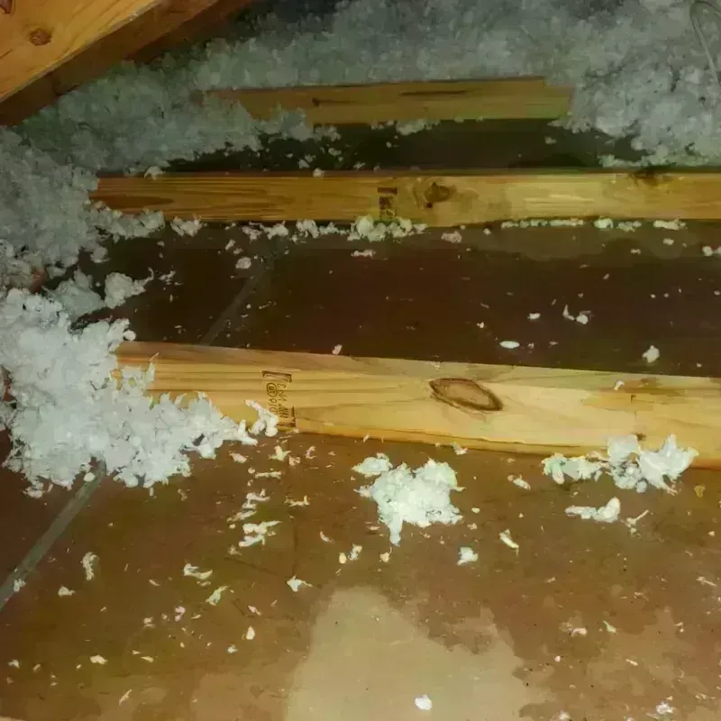 Attic Water Damage in Cloverdale, CA